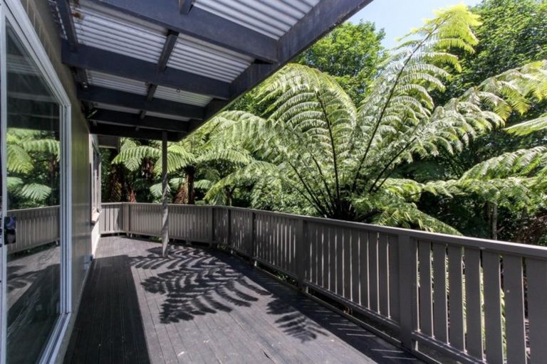 Photo of property in 19 Sycamore Grove, Lower Vogeltown, New Plymouth, 4310
