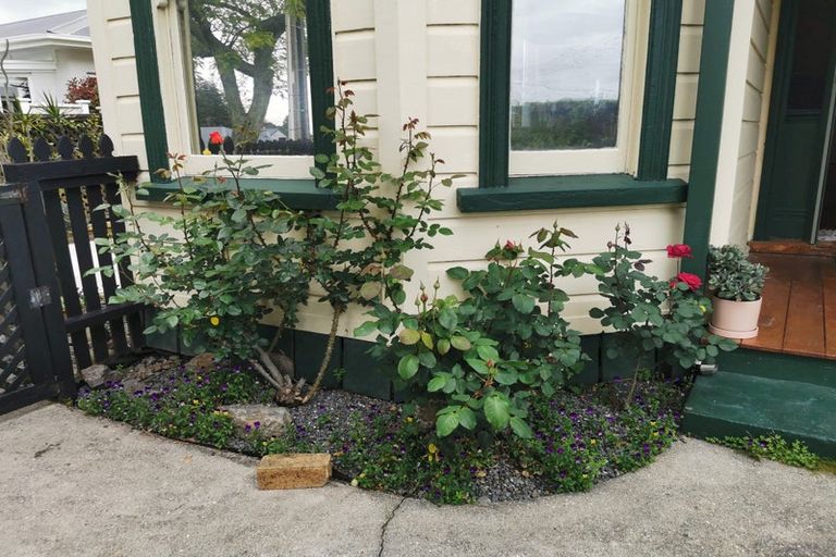 Photo of property in 51b Twentysecond Avenue, Gate Pa, Tauranga, 3112