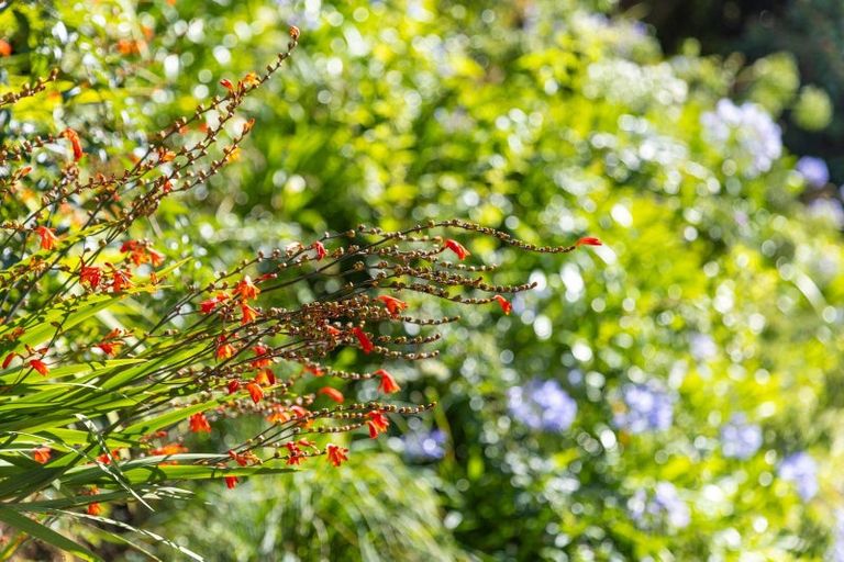 Photo of property in 252b Grange Road, Otumoetai, Tauranga, 3110