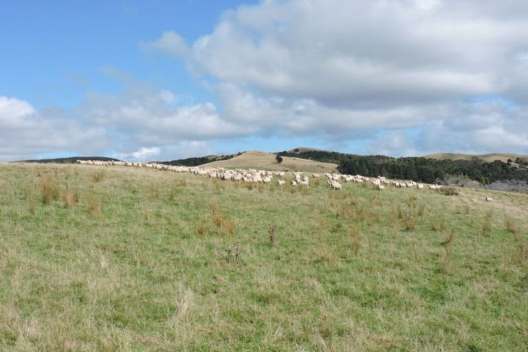 Photo of property in 1375 Wimbledon Road, Porangahau, 4292