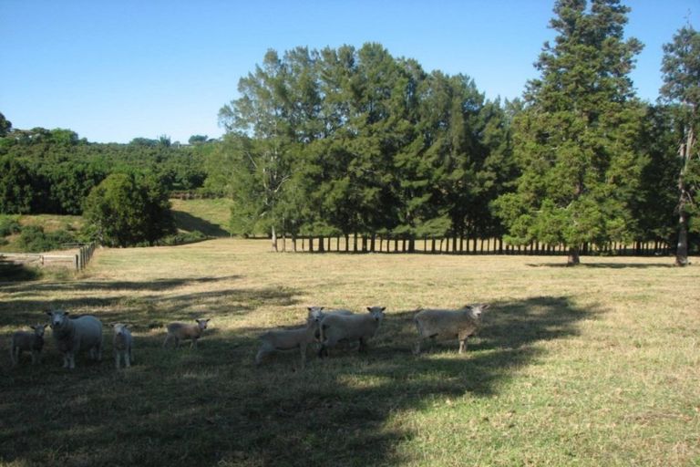 Photo of property in 48d Youngson Road, Whakamarama, 3180