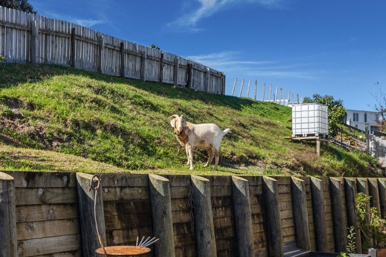 Photo of property in 63 Bunyan Road, Coastlands, Whakatane, 3120