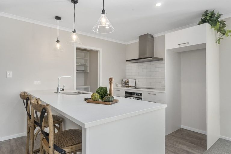 Photo of property in 75 Hinemoa Street, Levin, 5510