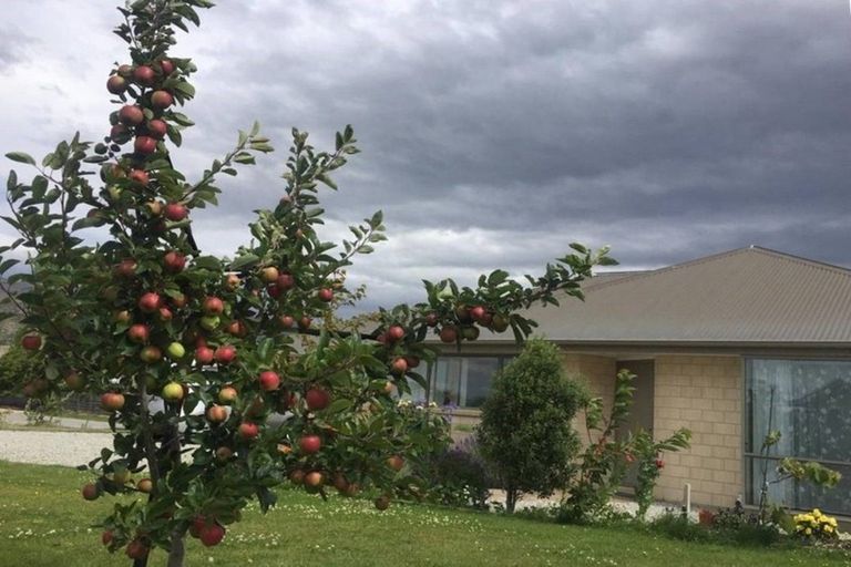 Photo of property in 17 Missy Crescent, Mount Pisa, Cromwell, 9383