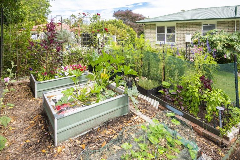 Photo of property in 29 Marian Drive, Inner Kaiti, Gisborne, 4010