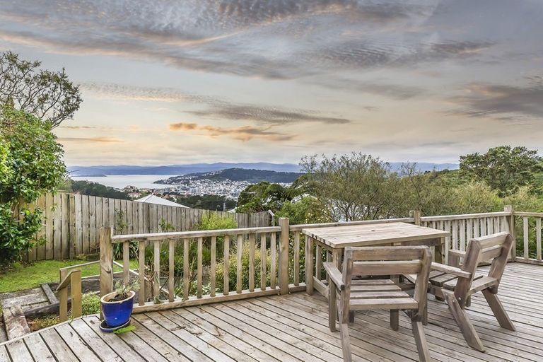 Photo of property in 4 Broomhill Road, Aro Valley, Wellington, 6012