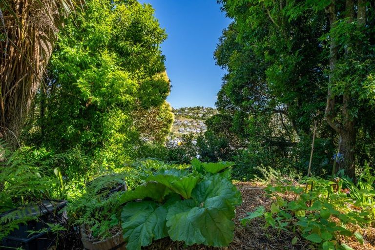 Photo of property in 80 Mount Street, Nelson South, Nelson, 7010