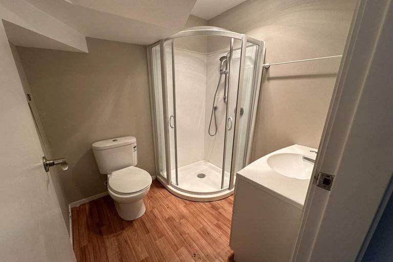 Photo of property in 17 Adams Terrace, Aro Valley, Wellington, 6021