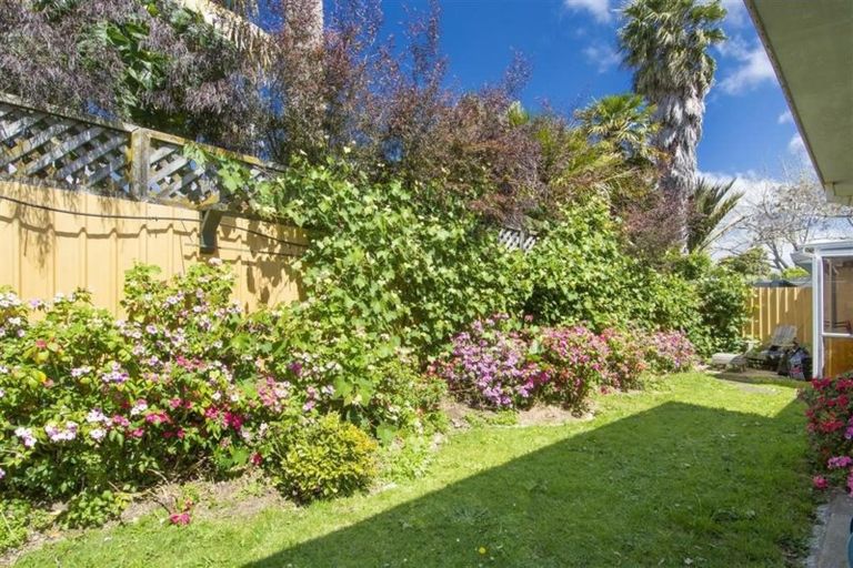 Photo of property in 99b Eighth Avenue, Tauranga, 3110