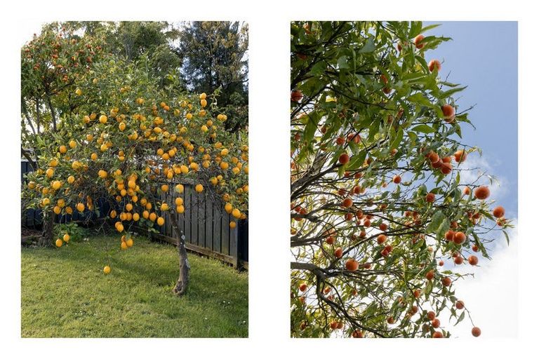 Photo of property in 114 Arawa Road, Whakatane, 3120