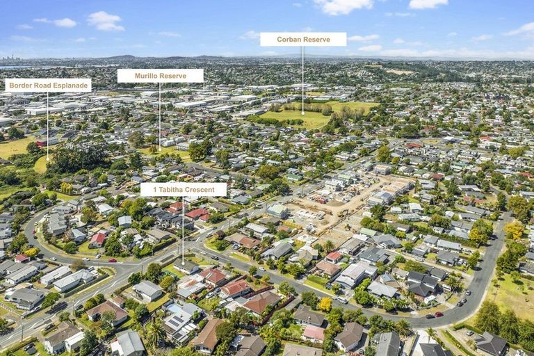 Photo of property in 1 Tabitha Crescent, Henderson, Auckland, 0612