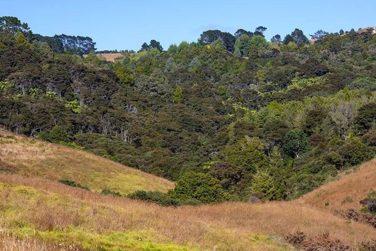 Photo of property in 88 Waere Valley Lane, Warkworth, 0981