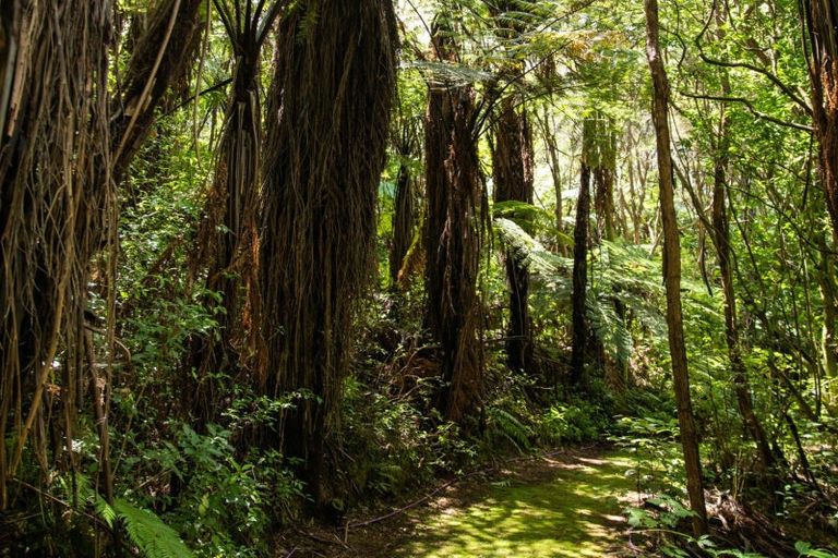 Photo of property in 281b Lund Road, Aongatete, Katikati, 3178