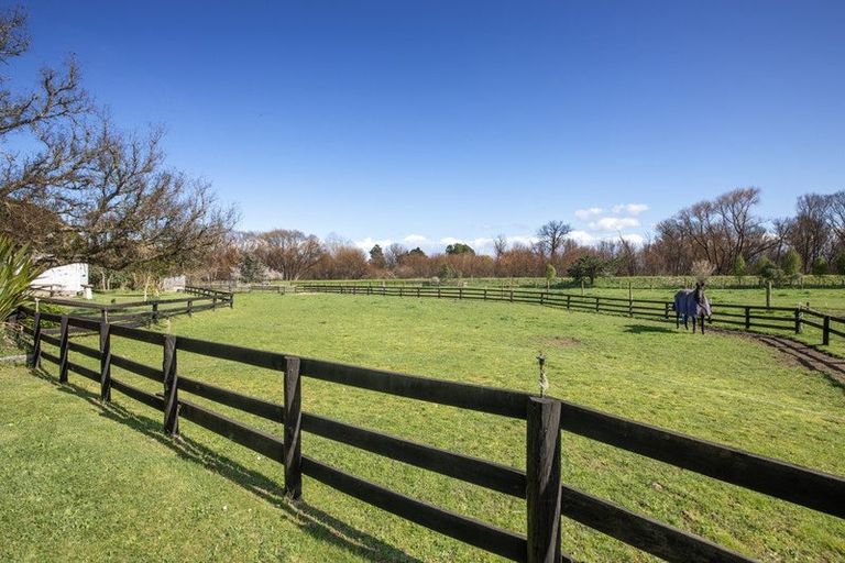 Photo of property in 2966 State Highway 2, Waipukurau, 4281