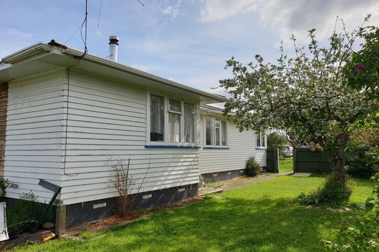 Photo of property in 24 Hawkswood Street, Waiau, 7332