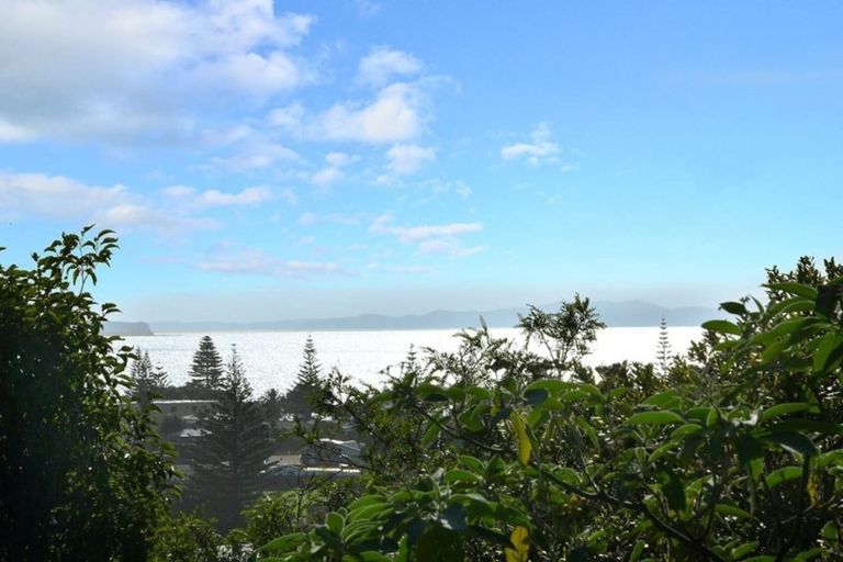 Photo of property in 192 Hibiscus Coast Highway, Red Beach, 0932