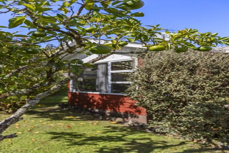 Photo of property in 127 Moore Street, Hillcrest, Auckland, 0627