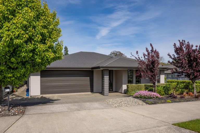 Photo of property in 54 Fairose Drive, Richmond, 7020