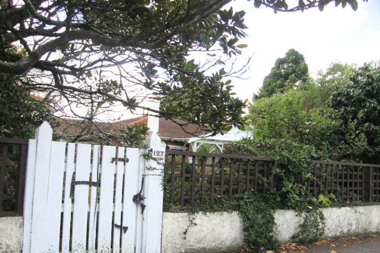 Photo of property in 127 Waterloo Road, Hutt Central, Lower Hutt, 5010