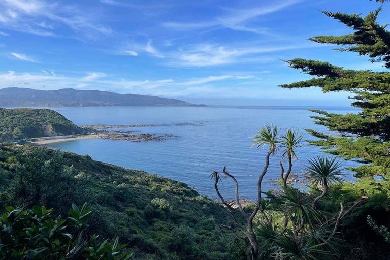 Photo of property in 213 Buckley Road, Southgate, Wellington, 6023