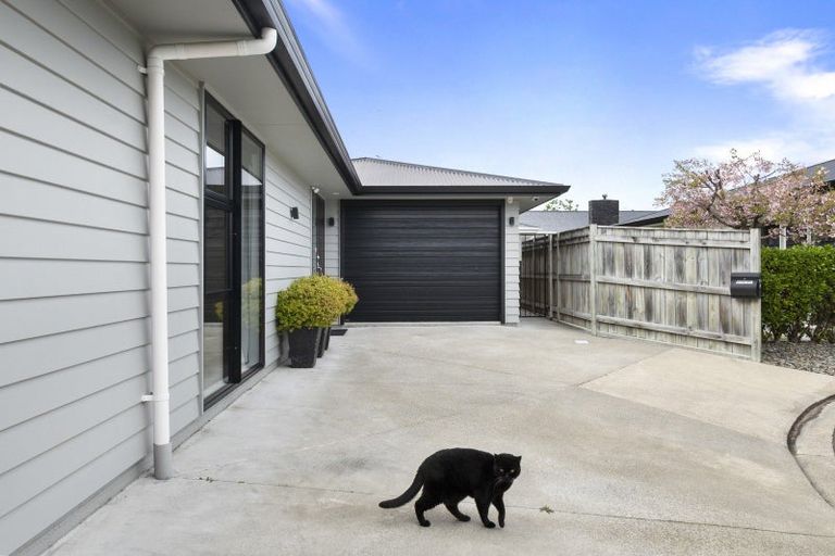 Photo of property in 67a Albert Street, Palmerston North, 4414