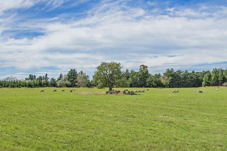 Photo of property in 2394 Old West Coast Road, Kirwee, Christchurch, 7671