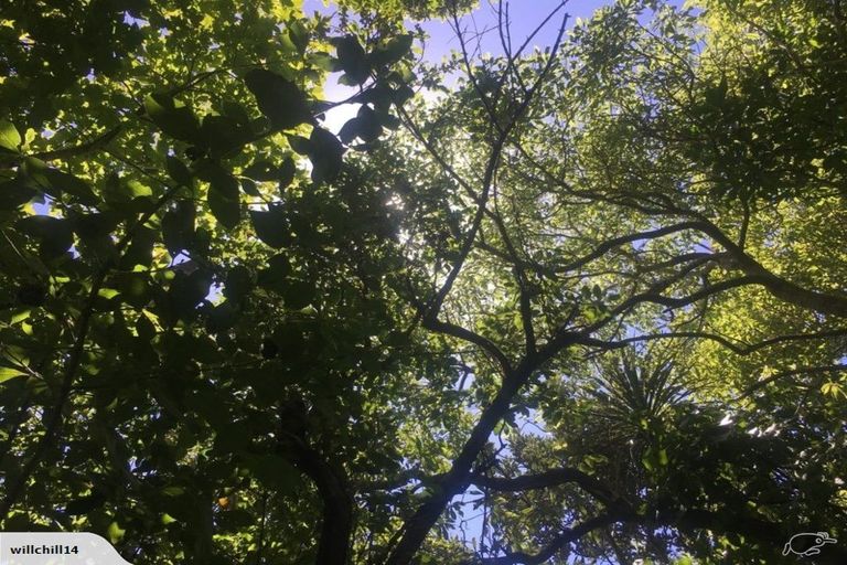 Photo of property in 93c Cecil Road, Wadestown, Wellington, 6012