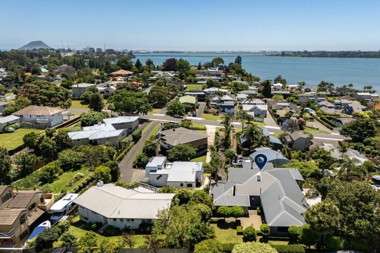 Photo of property in 5/44 Harvey Street, Tauranga South, Tauranga, 3112