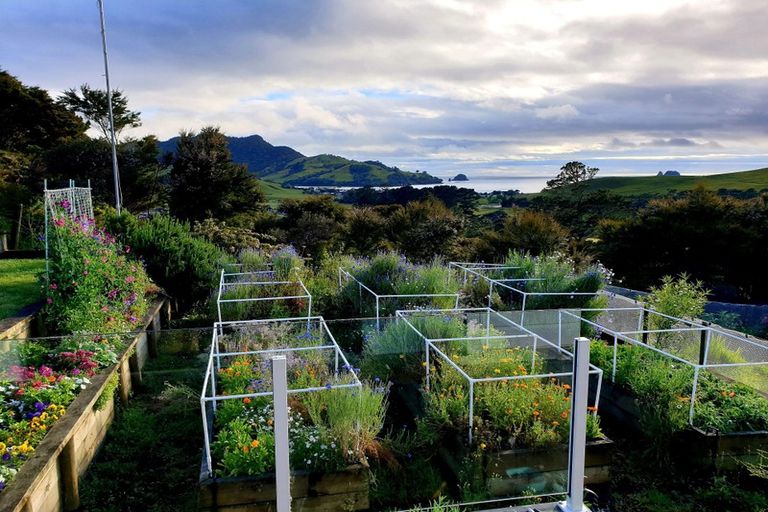 Photo of property in 17 Harbour Lights Terrace, Whitianga, 3592