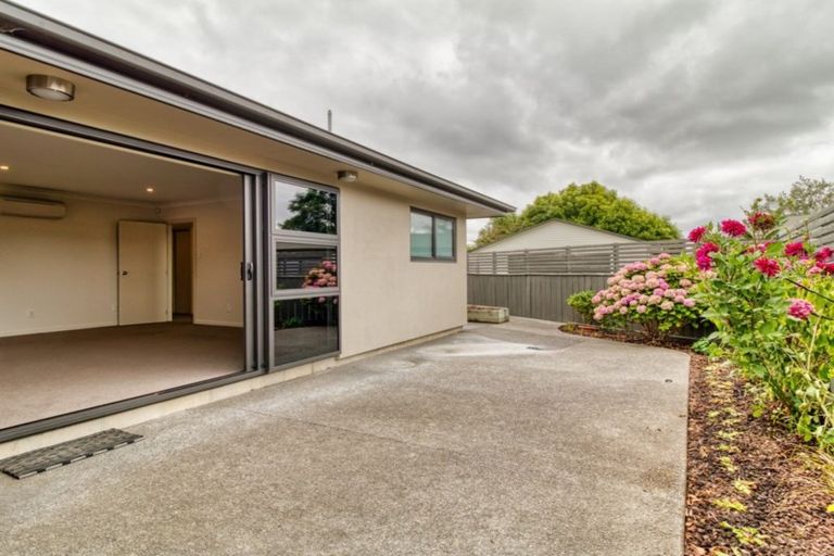 Photo of property in 48c Te Aute Road, Havelock North, 4130