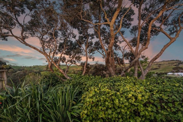 Photo of property in 55 Melville Drive, Whakatane, 3120