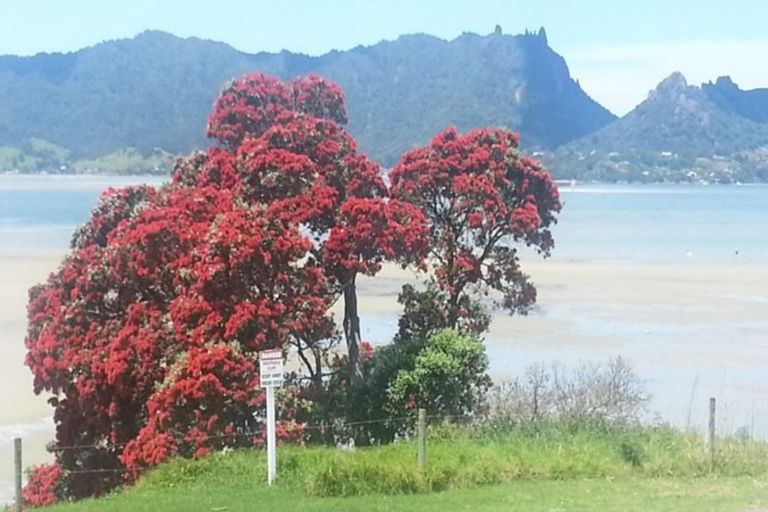 Photo of property in 2/249 One Tree Point Road, One Tree Point, 0118