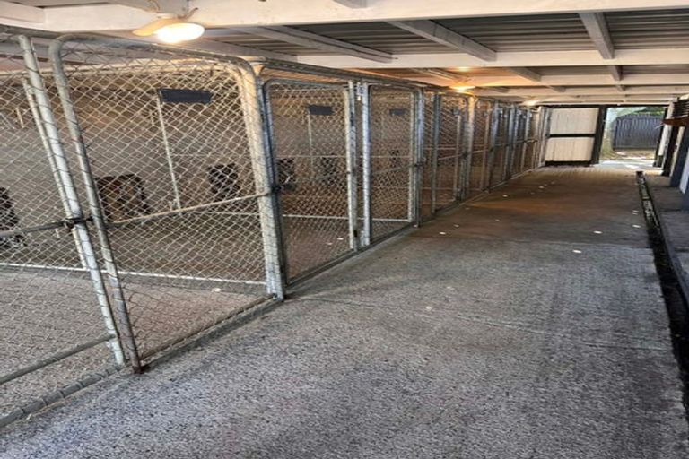 Photo of property in 140 Mako Mako Road, Levin, 5510