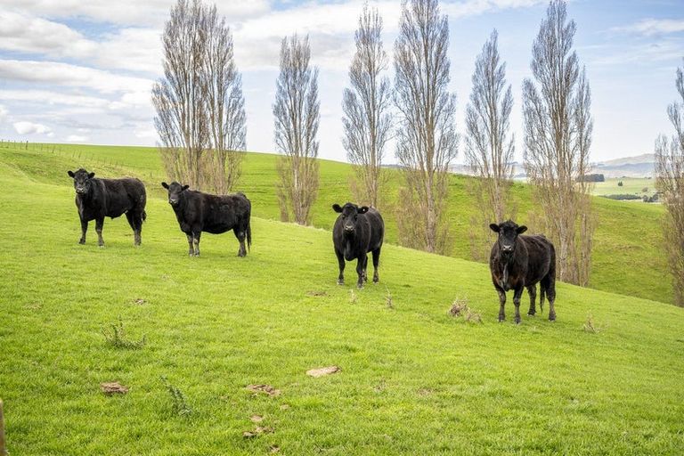 Photo of property in 210 Ongaonga Road, Waipawa, 4272