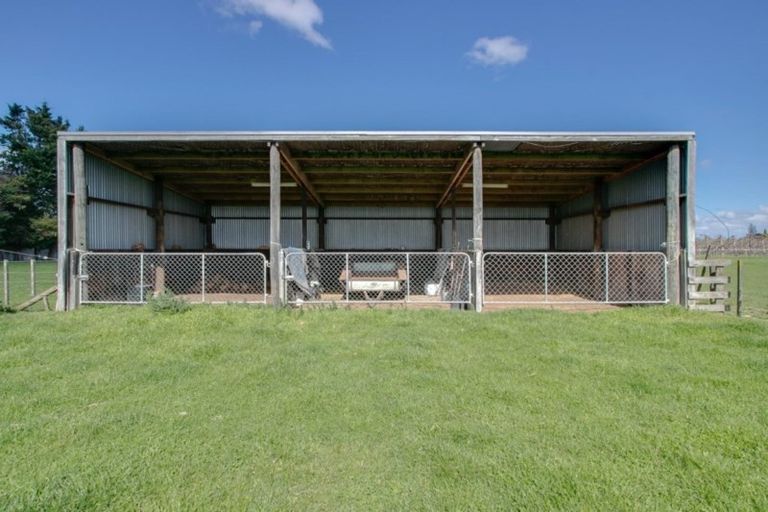 Photo of property in 77 Algernon Road, Longlands, Hastings, 4172