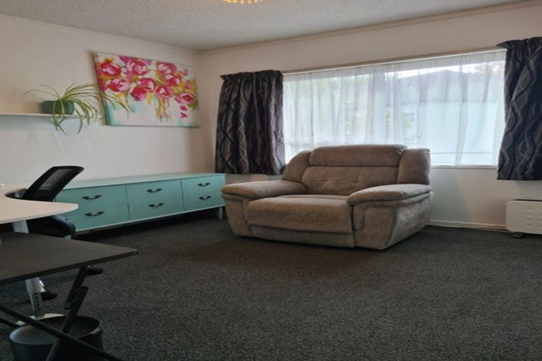 Photo of property in 3g Willoughby Street, Whitiora, Hamilton, 3200