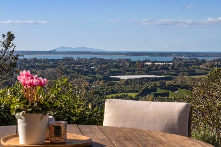 Photo of property in 186b Minden Road, Minden, Tauranga, 3176