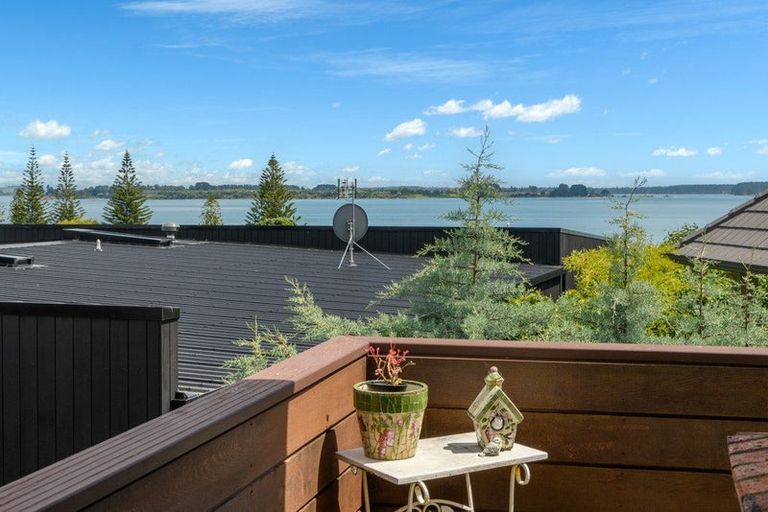 Photo of property in 55 Waratah Street, Matua, Tauranga, 3110