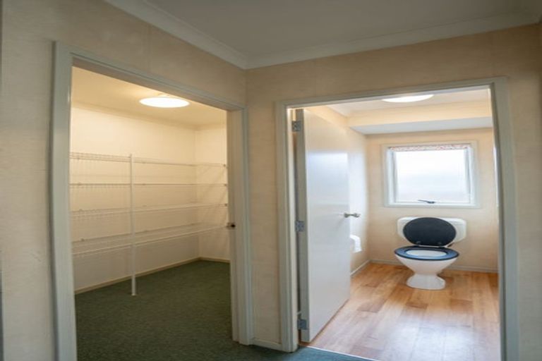 Photo of property in 16 Tawai Dell, Pyes Pa, Tauranga, 3112