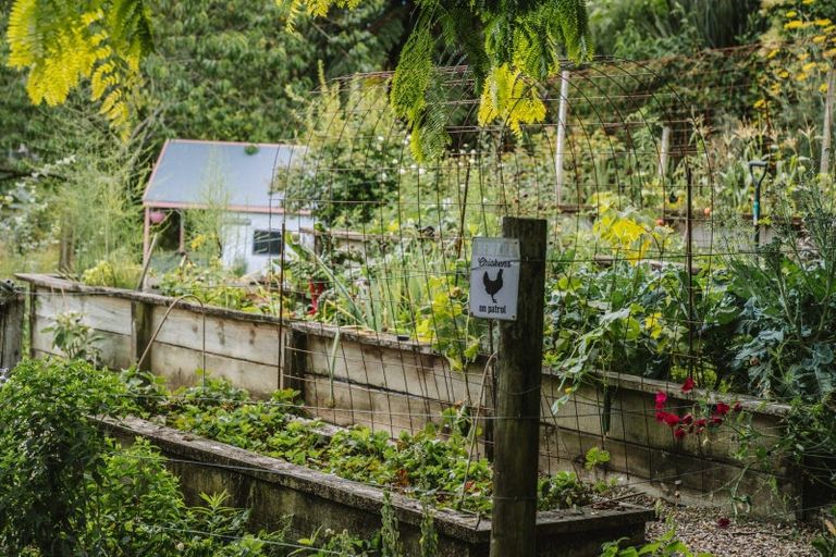 Photo of property in 70a Neewood Road, Ohauiti, Tauranga, 3173