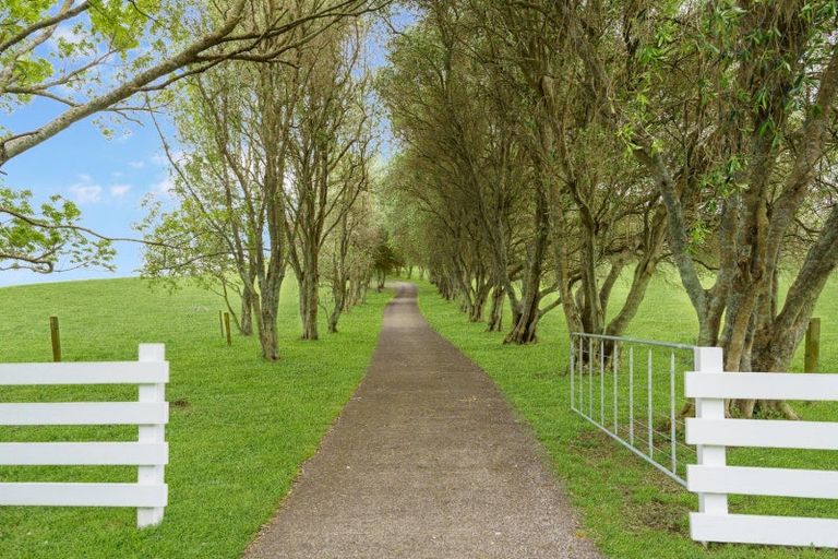 Photo of property in 709 Tairua Sh25 Road, Onemana, Whangamata, 3691