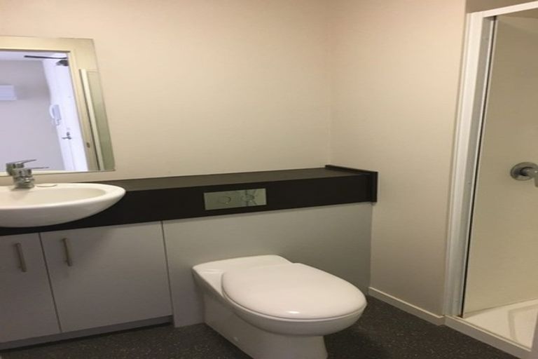 Photo of property in The Peak Apartments, 505/170 Taranaki Street, Te Aro, Wellington, 6011