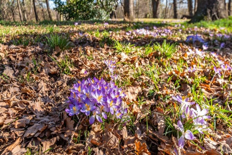 Photo of property in 2072 Homebush Road, Coalgate, Darfield, 7571