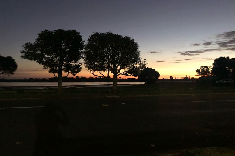 Photo of property in 1/23 Roys Road, Weymouth, Auckland, 2103