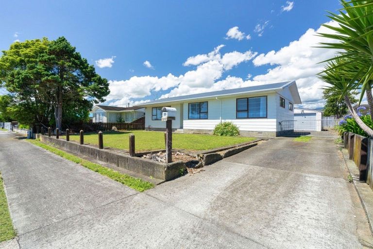 Photo of property in 33 Solway Street, Levin, 5510