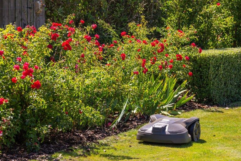 Photo of property in 7 Francis Lane, Masterton, 5810