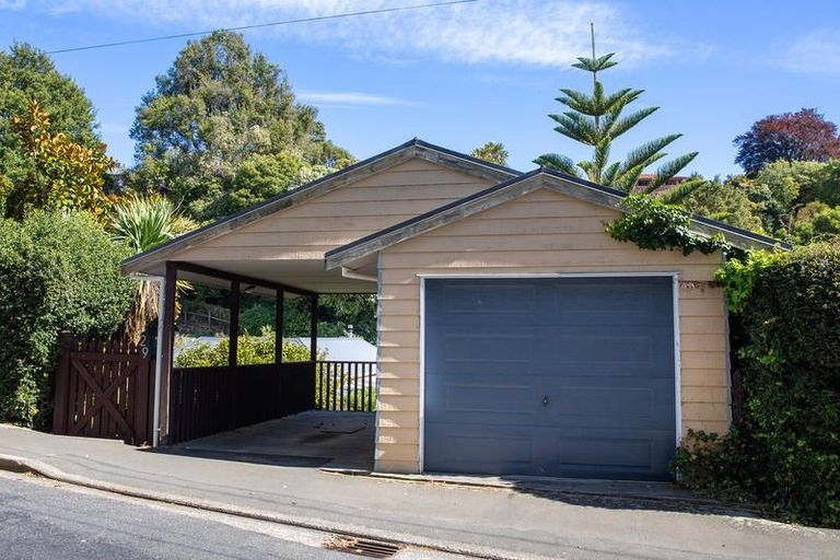 Photo of property in 29 Littlebourne Road, Roslyn, Dunedin, 9010