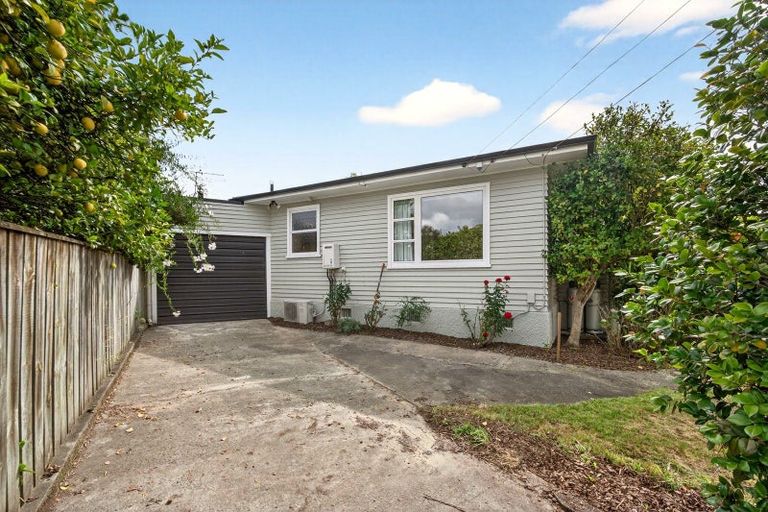 Photo of property in 8 Miro Street, Lansdowne, Masterton, 5810