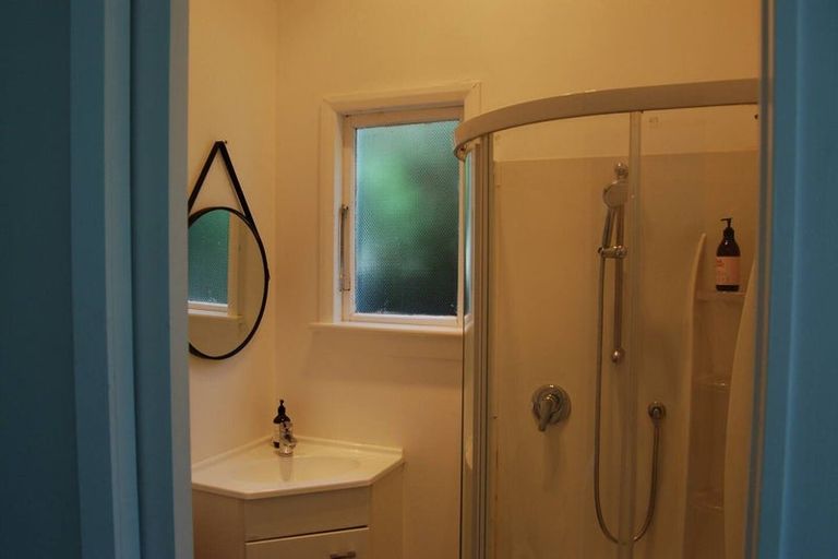 Photo of property in 41 Albert Street, Saint Clair, Dunedin, 9012