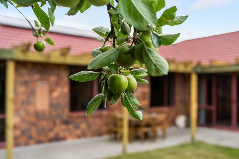 Photo of property in 20 Glentui Place, Waikawa, Picton, 7220